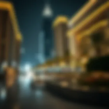 Magnificent An In-Depth Exploration of Dubai Falcon City Magnificent An In-Depth Exploration of Dubai Falcon City