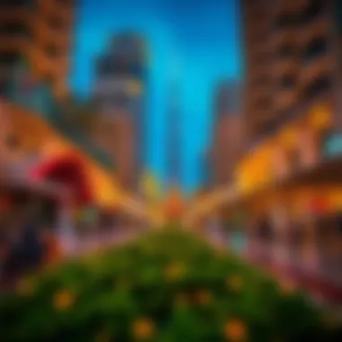 Magnificent Exploring Affordable Experiences in Dubai