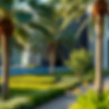 Magnificent Exploring Green Spaces in Dubai: A Sanctuary Amidst Urbanization Magnificent Exploring Green Spaces in Dubai: A Sanctuary Amidst Urbanization