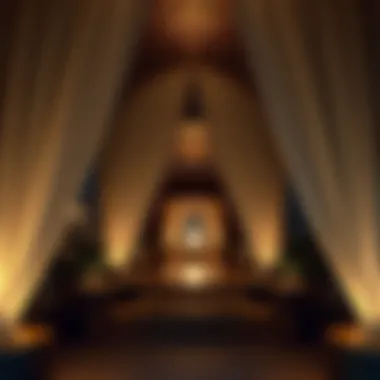 Magnificent Exploring Nightjar: A Unique Experience at Madinat Badr