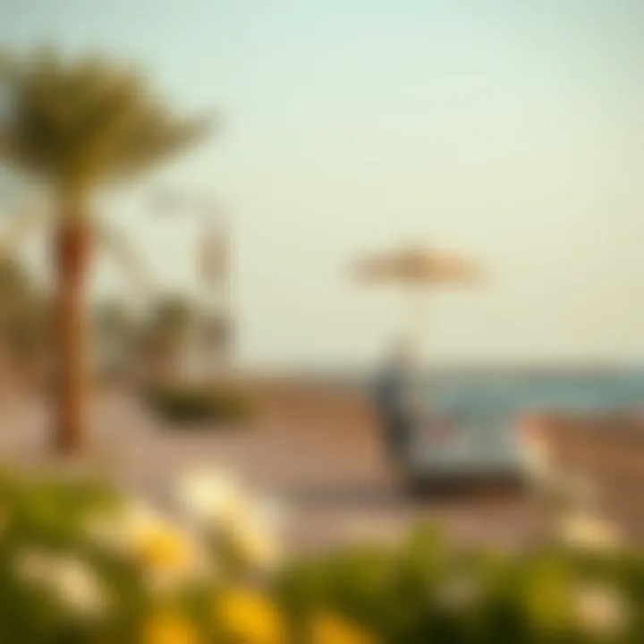 Magnificent Exploring the Coastal Walkway of Jubail