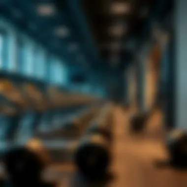 Magnificent My First Gym Experience in Dubai: A Detailed Exploration Magnificent My First Gym Experience in Dubai: A Detailed Exploration