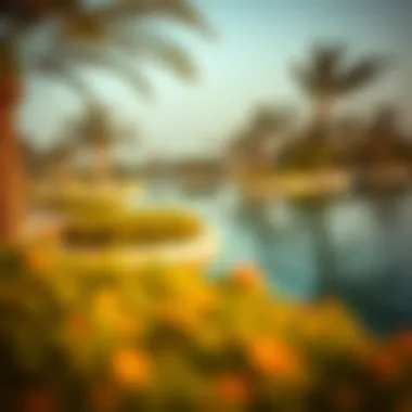 Magnificent Understanding Al Nahda Pond Park Timings: Navigating Your Visit Magnificent Understanding Al Nahda Pond Park Timings: Navigating Your Visit