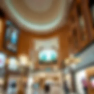 A Comprehensive Survey of Brands at Dubai Mall Summary A Comprehensive Survey of Brands at Dubai Mall Summary