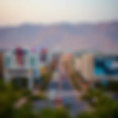 Investment Landscape in Al Aweer Commercial opportunities in Al Aweer highlighting its investment potential