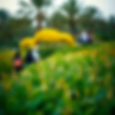 Exploring the Flora of Al Bateen Park Visitors exploring the vibrant flora in Al Bateen Park