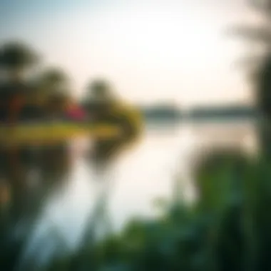Tranquil Lakeside Area of Al Bateen Park A tranquil lakeside area within Al Bateen Park, perfect for relaxation
