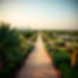 A panoramic view of Al Bateen Park showcasing lush greenery and serene pathways
