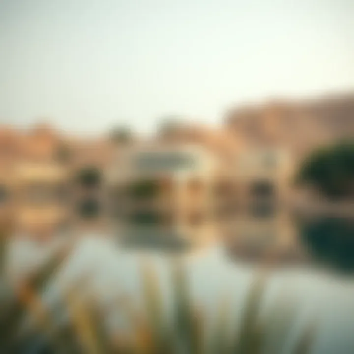 Al Qudra Love Lake: An Intriguing Oasis in Dubai Summary