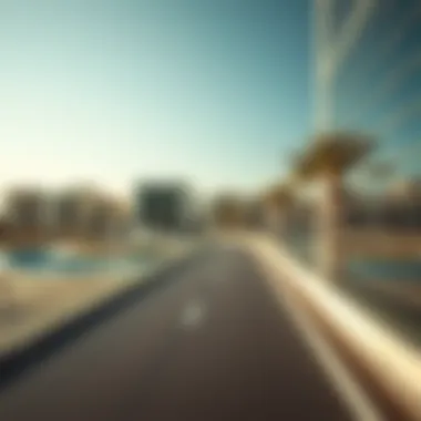 Notable An In-Depth Exploration of Dubai Falcon City Notable An In-Depth Exploration of Dubai Falcon City