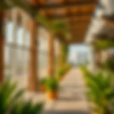 Sustainability Initiatives in Dubai Sustainability initiatives in Dubai