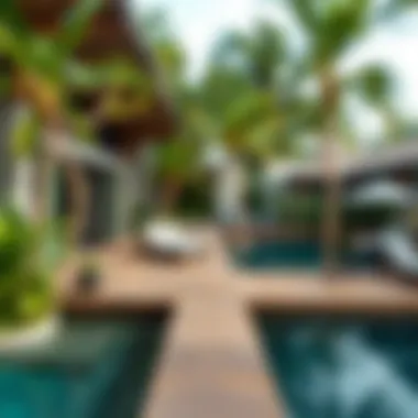 Investment Opportunities at Anantara Eastern Mangroves Investment opportunities in Anantara Eastern Mangroves