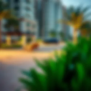 Community Amenities in Dubai Community amenities enhancing lifestyle in Dubai's neighborhoods