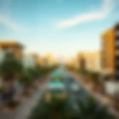 Notable Demographic Insights: The Population of the United Arab Emirates Notable Demographic Insights: The Population of the United Arab Emirates