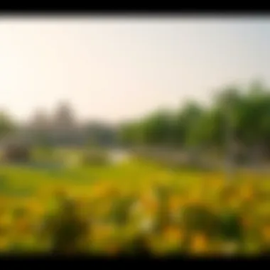 Serene community spaces in Diamond Park Community park with lush greenery in Diamond Park Dubai