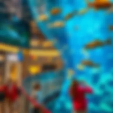 An engaging display at the Dubai Aquarium located within the mall