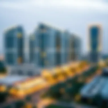 The Economic Impact of DMCC on Dubai's Landscape Economic Impact of DMCC in Dubai