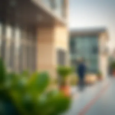 Evaluating the Top Schools in Dubai Introduction Evaluating the Top Schools in Dubai Introduction