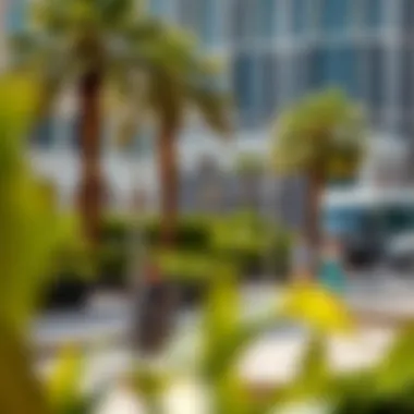 Lifestyle Around Address Downtown Dubai Vibrant lifestyle scenes around Address Downtown Dubai