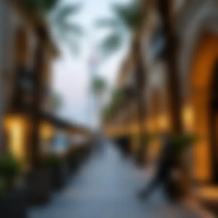 Exploring Affordable Experiences in Dubai Summary