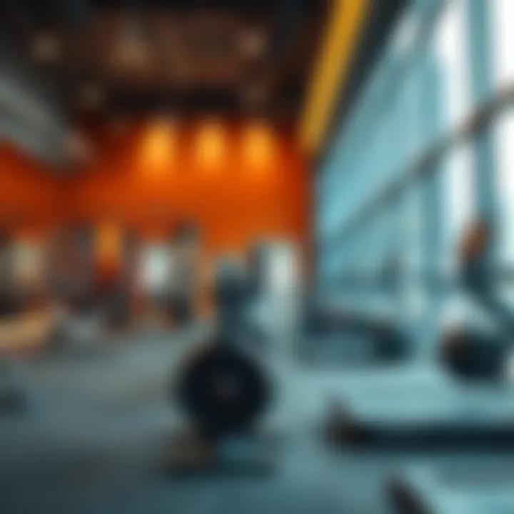 Exploring Affordable Fitness: The Cheapest Gyms in Dubai Summary