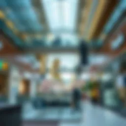Exploring Affordable Retail Options in Dubai Mall Introduction