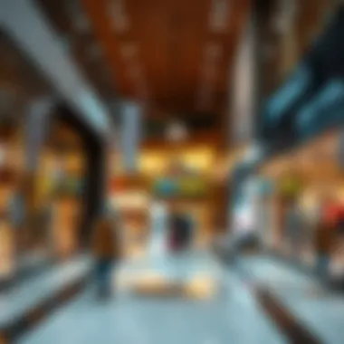 Exploring Affordable Retail Options in Dubai Mall Summary Exploring Affordable Retail Options in Dubai Mall Summary