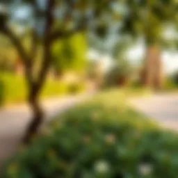 Scenic view of Al Khawaneej greenery