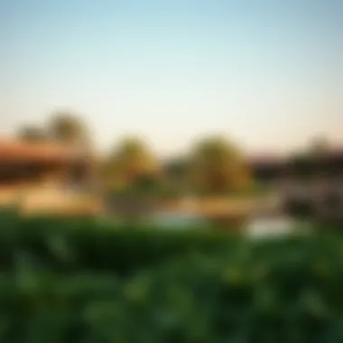 Notable Exploring Al Nahda's Pond Park: A Comprehensive Overview