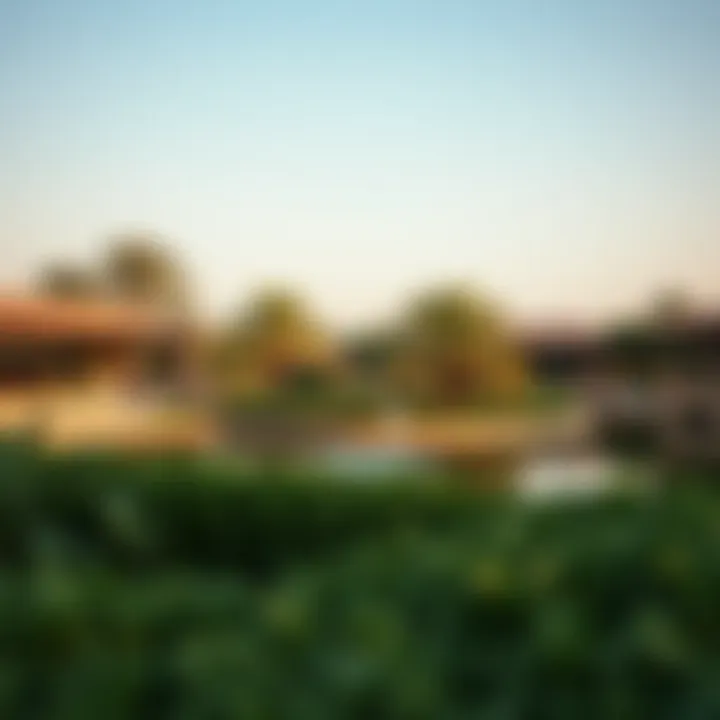 Notable Exploring Al Nahda's Pond Park: A Comprehensive Overview