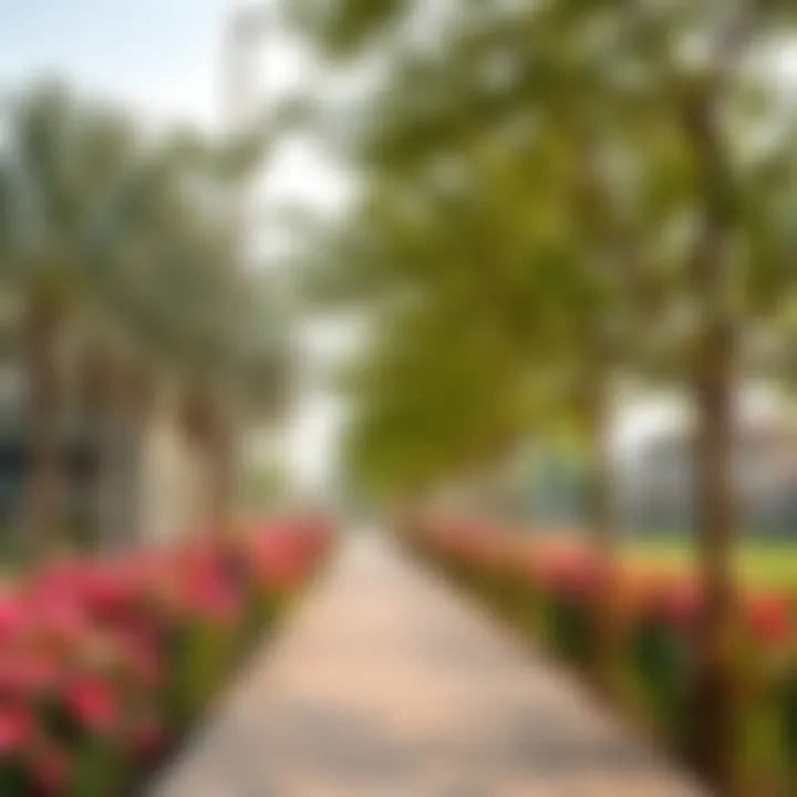 Serene Walking Path in Al Reem Park A serene walking path lined with trees and flowers in Al Reem Park