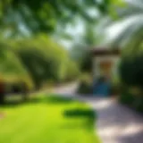 Lush greenery and tranquil pathways in Al Safa Park