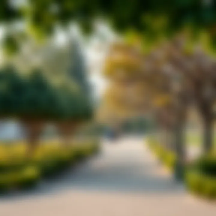 A serene park in الحذيفة illustrating lifestyle and leisure options