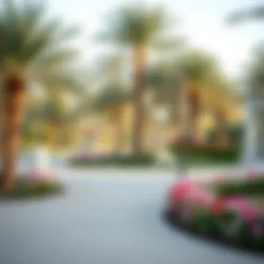 Beautiful Parks in Rashidiya Local parks and recreational areas in Rashidiya