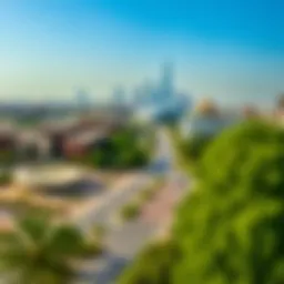 Panoramic view of Rashidiya, showcasing skyline and greenery