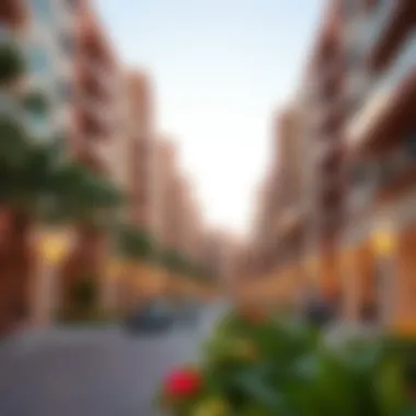 Vibrant community lifestyle surrounding Damac Voleo