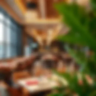 Exploring DFC Restaurants: A Culinary Map Summary Exploring DFC Restaurants: A Culinary Map Summary