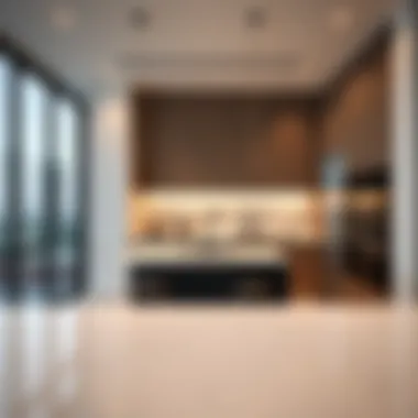 Sleek Kitchen Design in Emaar Apartment Modern kitchen design in Emaar luxury apartment