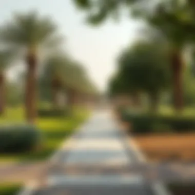 Exploring Green Spaces in Dubai: A Sanctuary Amidst Urbanization Summary Exploring Green Spaces in Dubai: A Sanctuary Amidst Urbanization Summary