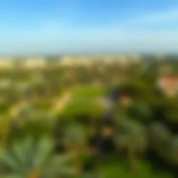 A panoramic view of حديقة الحليو showcasing its lush greenery