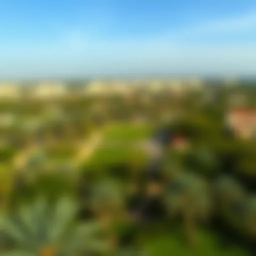 A panoramic view of حديقة الحليو showcasing its lush greenery