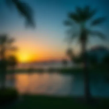 Sunset Over the Lake in حديقة الحليو A sunset view over the lake in حديقة الحليو
