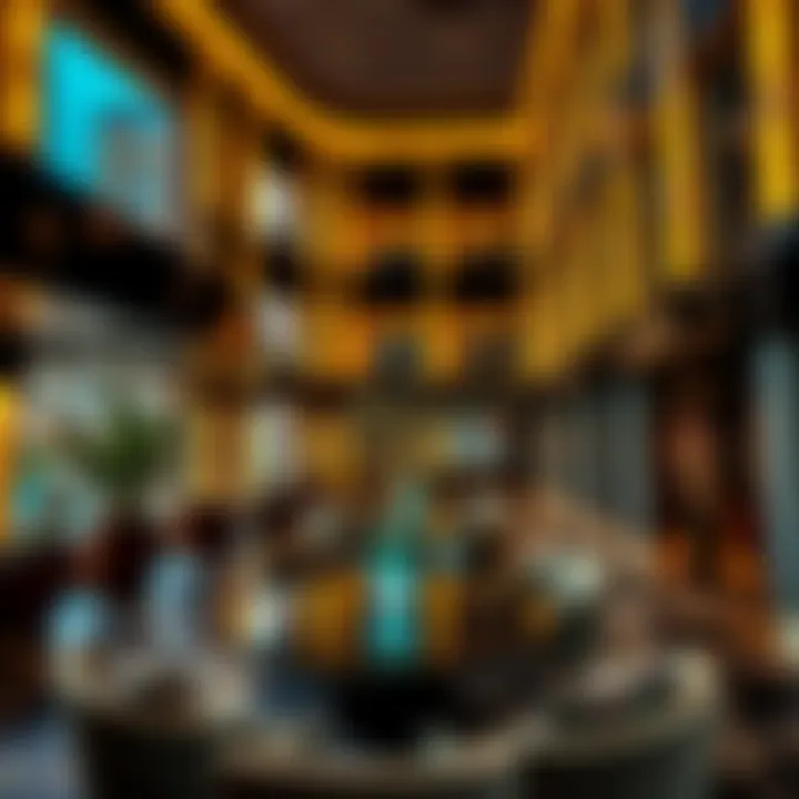 Exploring Hotels in Bur Dubai Summary
