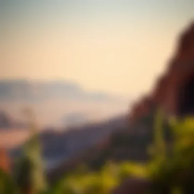Panoramic landscape of Jebel Jais highlighting its unique geological features and diverse flora