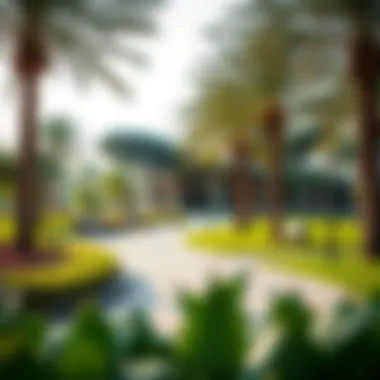 Scenic community park in Julfar highlighting lifestyle amenities