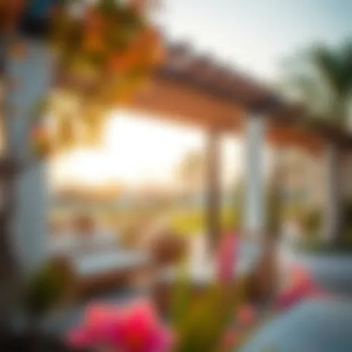 Exploring Lantana in Dubai: A Comprehensive Overview Introduction