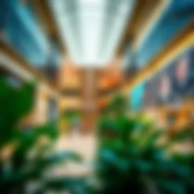 Notable Exploring Lomiere Mackani Mall: A Comprehensive Guide
