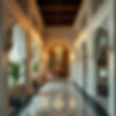 Exploring Lulu Al Muteena: A Comprehensive Insight Summary