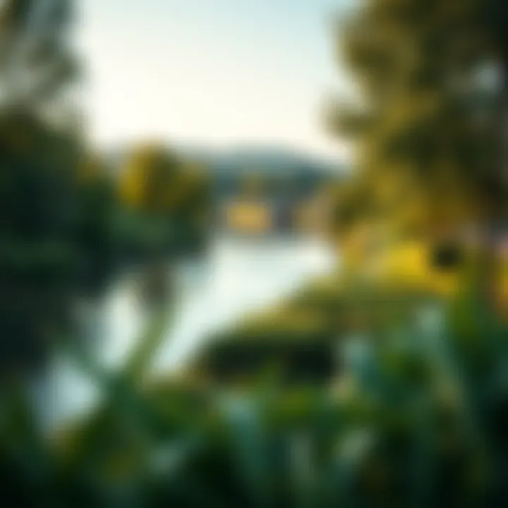 Sustainability efforts depicted through green spaces near the Danube