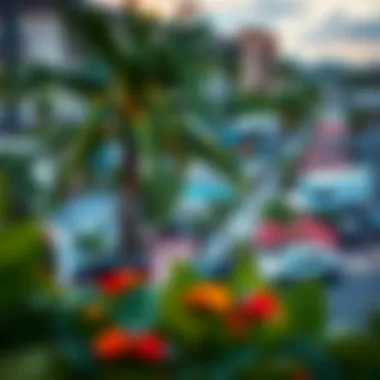 Vibrant Neighborhood Surrounding Palm Beach Towers 3 Surrounding neighborhood of Palm Beach Towers 3
